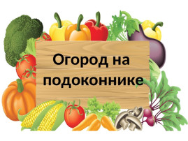 В МАДОУ детский сад № 22 прошёл смотр-конкурс «Огород на окне». В МАДОУ детский сад № 22 прошёл смотр-конкурс «Огород на окне».